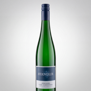 Grüner Veltliner Ried Käferberg Weingut Herndler